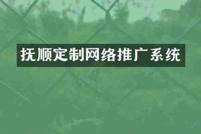 抚顺定制网络推广系统