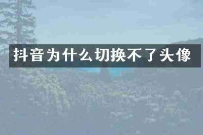抖音为什么切换不了头像