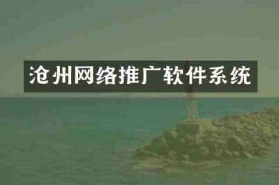 沧州网络推广软件系统