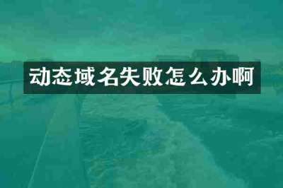 动态域名失败怎么办啊
