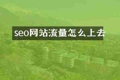 seo网站流量怎么上去