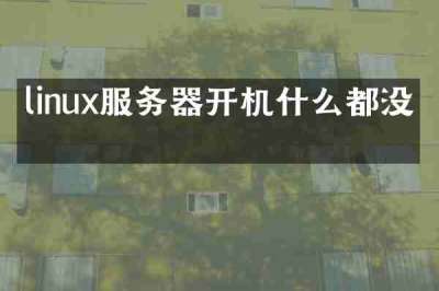 linux服务器开机什么都没有