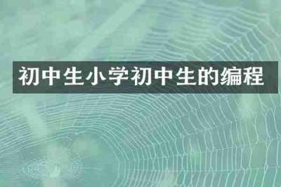 初中生小学初中生的编程