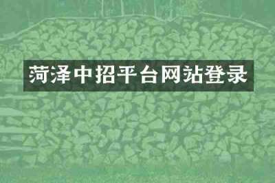 菏泽中招平台网站登录