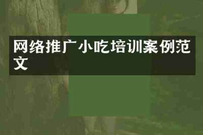 网络推广小吃培训案例范文