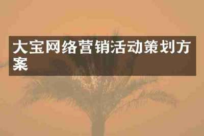 大宝网络营销活动策划方案
