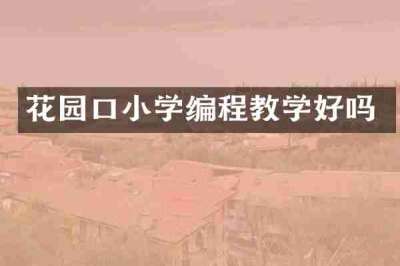 花园口小学编程教学好吗