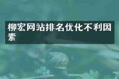 柳宏网站排名优化不利因素