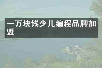 一万块钱少儿编程品牌加盟