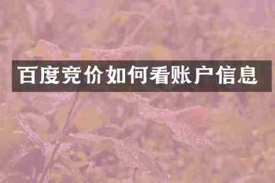 百度竞价如何看账户信息