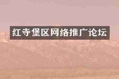 红寺堡区网络推广论坛