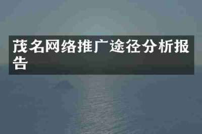 茂名网络推广途径分析报告