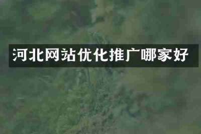 河北网站优化推广哪家好