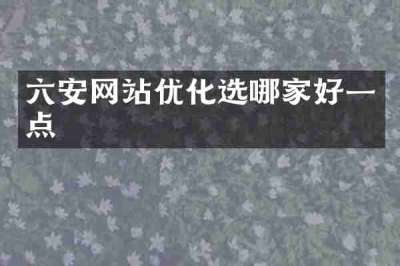 六安网站优化选哪家好一点