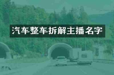 汽车整车拆解主播名字