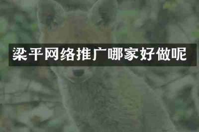 梁平网络推广哪家好做呢