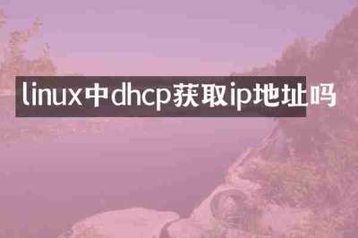 linux中dhcp获取ip地址吗