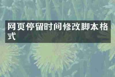 网页停留时间修改脚本格式