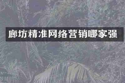 廊坊精准网络营销哪家强