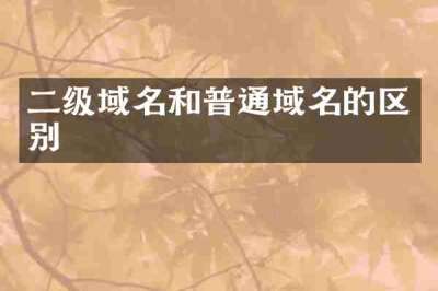 二级域名和普通域名的区别