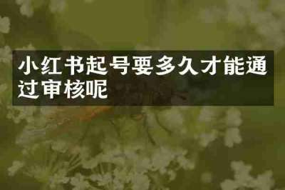 小红书起号要多久才能通过审核呢
