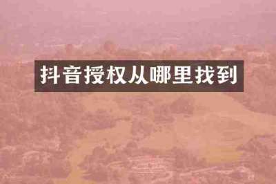 抖音授权从哪里找到