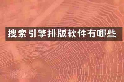 搜索引擎排版软件有哪些