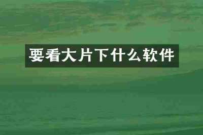 要看大片下什么软件