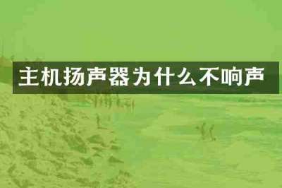 主机扬声器为什么不响声