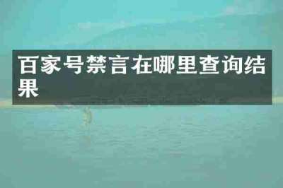 百家号禁言在哪里查询结果