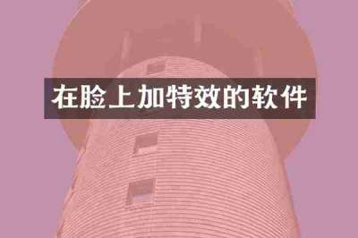 在脸上加特效的软件
