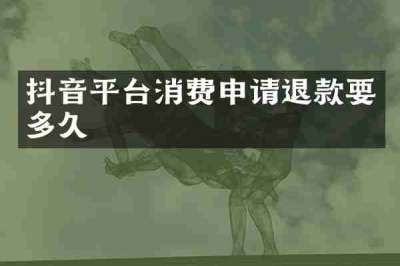 抖音平台消费申请退款要多久
