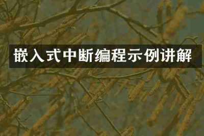 嵌入式中断编程示例讲解