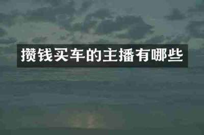 攒钱买车的主播有哪些