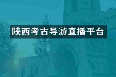 陕西考古导游直播平台