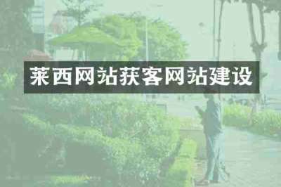 莱西网站获客网站建设