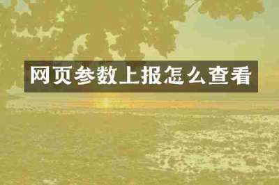 网页参数上报怎么查看