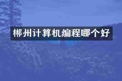 郴州计算机编程哪个好