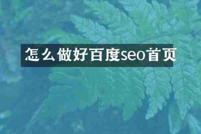 怎么做好百度seo首页
