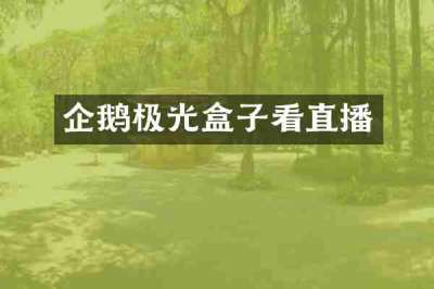 企鹅极光盒子看直播