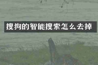 搜狗的智能搜索怎么去掉