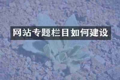 网站专题栏目如何建设