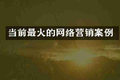 当前最火的网络营销案例