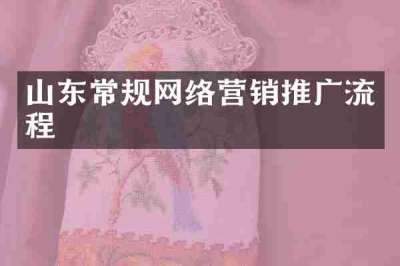 山东常规网络营销推广流程