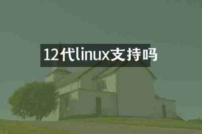 12代linux支持吗