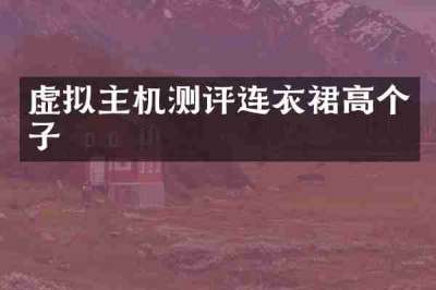 虚拟主机测评连衣裙高个子