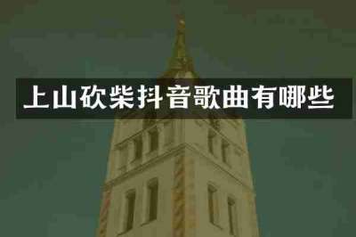上山砍柴抖音歌曲有哪些
