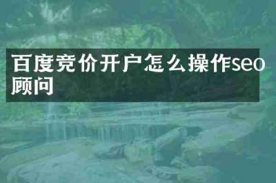 百度竞价开户怎么操作seo顾问