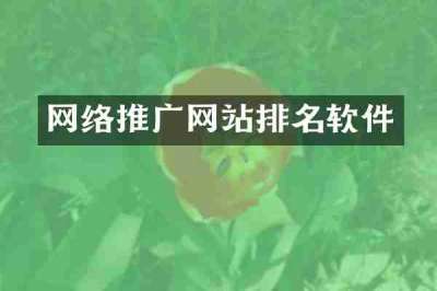 网络推广网站排名软件