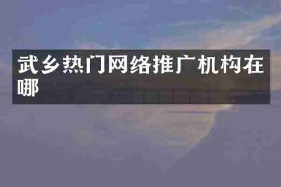 武乡热门网络推广机构在哪